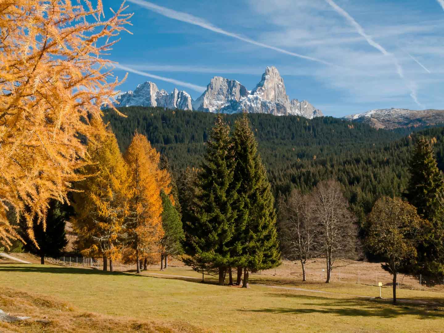 Landscape of Pale San Martino, Trentino, Dolomites, Italy